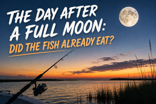 The Day After a Full Moon: Did the Fish Already Eat?